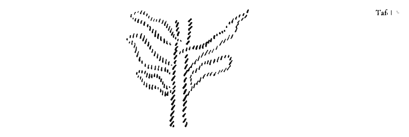 Zeichnung aus GA 327, S. 207