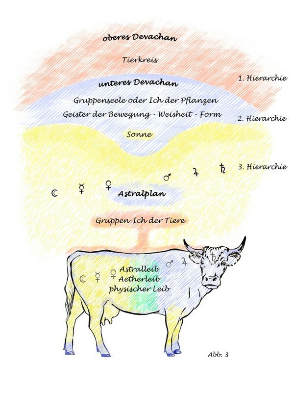 Abb. 3 aus dem Buch Das Organismusprinzip ..., S. 22