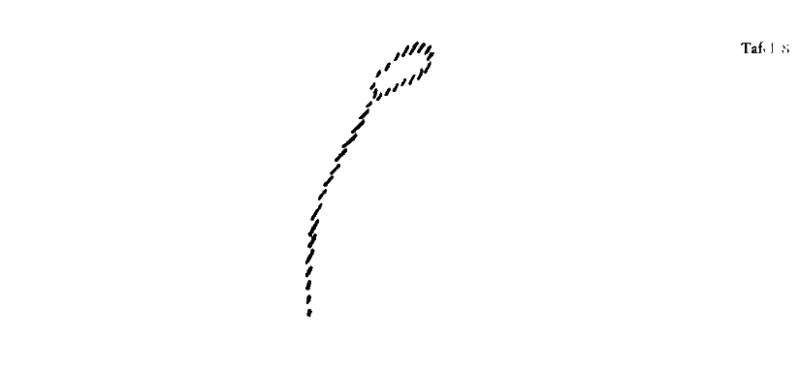 Zeichnung aus GA 327, S. 205