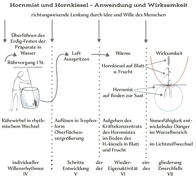 Datei:Abb. 25, S. 350.jpg