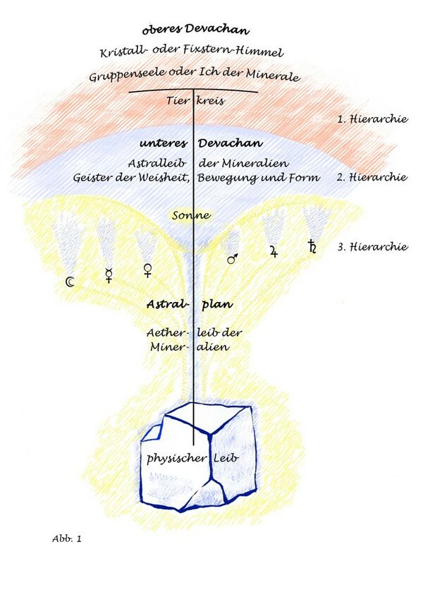 Abb. 1 aus dem Buch Das Organismusprinzip ..., S. 11