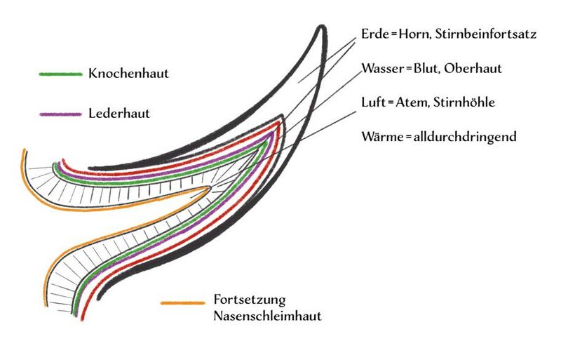 Datei:Abb. 22, S. 346.jpeg