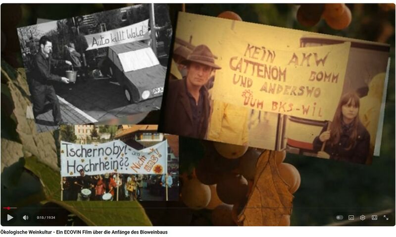 Datei:Film Ökölogische Weinkultur - Ein ECOVIN Film.jpg
