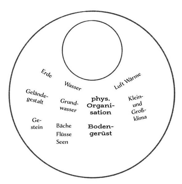 Datei:Abb. 7, S. 102.jpeg