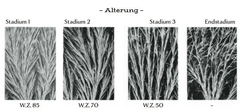 Datei:Abb. 20, S. 321.jpg