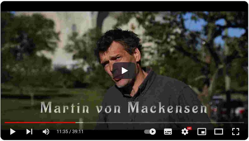 Datei:Martin von Mackensen Vortrag Göbekli Tepe Dornach 2023-2-1.jpg